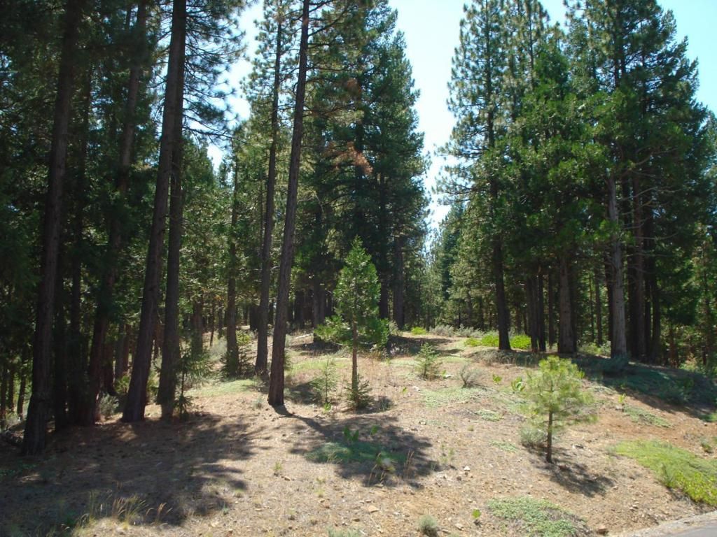 Image 4 of property listing at 976 Moon Shadow, Portola, CA 96122