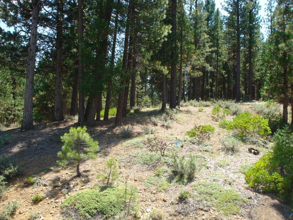 Image 6 of property listing at 976 Moon Shadow, Portola, CA 96122