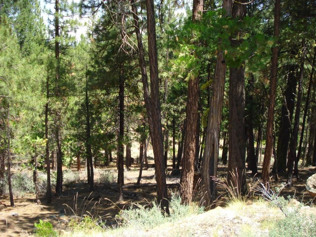 Image 9 of property listing at 976 Moon Shadow, Portola, CA 96122