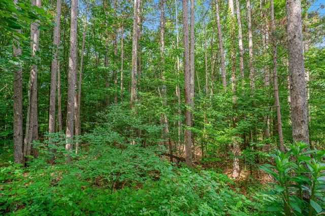 3365 Palmer Drive 59, Saugatuck Twp, MI 49453