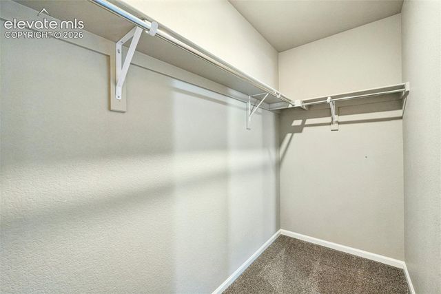 7163 Sedgerock Lane, Colorado Springs, CO 80927