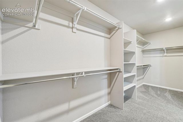 7163 Sedgerock Lane, Colorado Springs, CO 80927