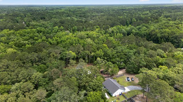 1019 Sago Court, Johns Island, SC 29455