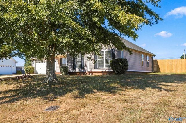 119 Turtle Ridge Drive, New Market, AL 35761