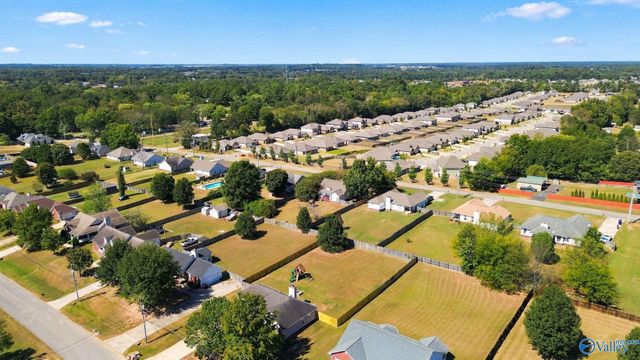 119 Turtle Ridge Drive, New Market, AL 35761