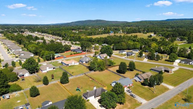 119 Turtle Ridge Drive, New Market, AL 35761