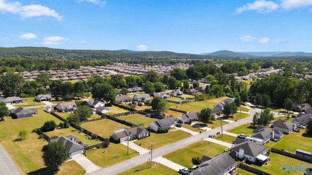 119 Turtle Ridge Drive, New Market, AL 35761