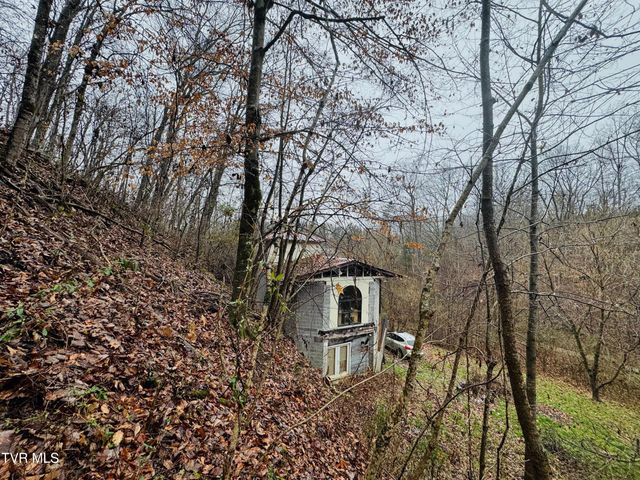 115 Old Cemetary Road, Greeneville, TN 37745