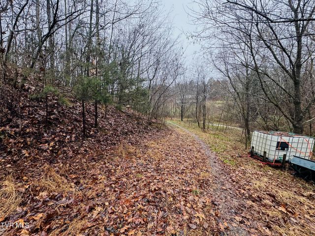 115 Old Cemetary Road, Greeneville, TN 37745