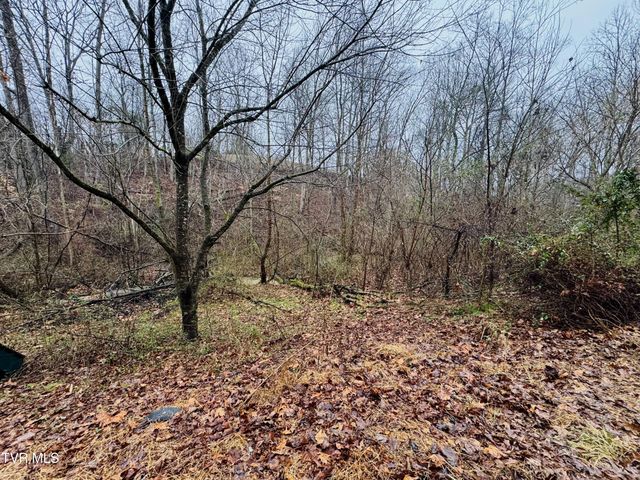 115 Old Cemetary Road, Greeneville, TN 37745