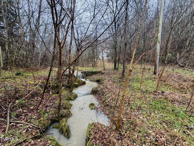 115 Old Cemetary Road, Greeneville, TN 37745