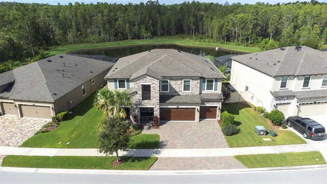 21896 EMORY OAK PLACE, Land O Lakes, FL 34637
