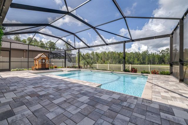 21896 EMORY OAK PLACE, Land O Lakes, FL 34637