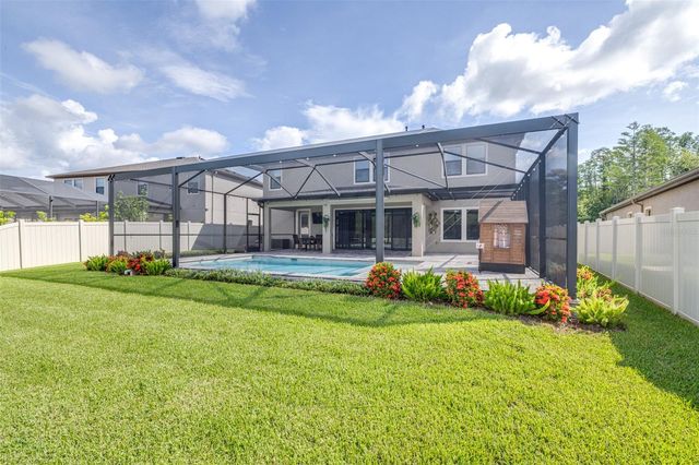 21896 EMORY OAK PLACE, Land O Lakes, FL 34637