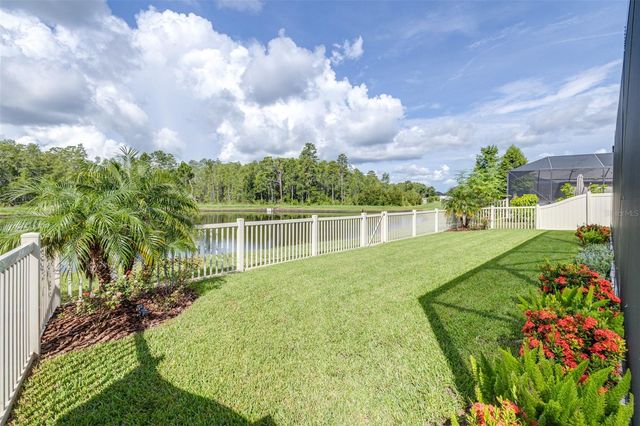 21896 EMORY OAK PLACE, Land O Lakes, FL 34637