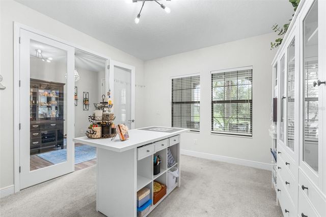 21896 EMORY OAK PLACE, Land O Lakes, FL 34637