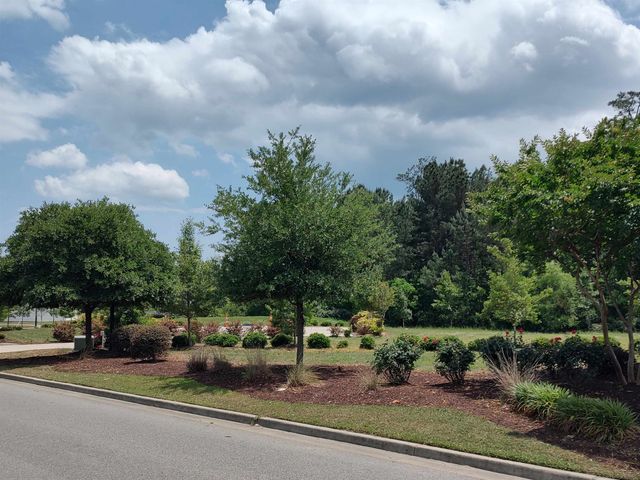 TBD Ronald McNair Blvd., Myrtle Beach, SC 29572