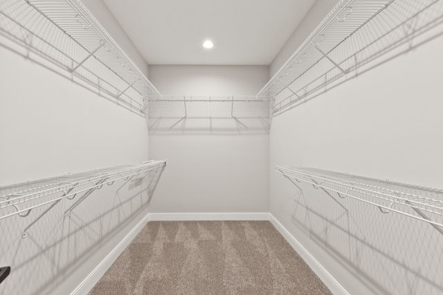 155 S Ray Rd, Portland, TN 37148