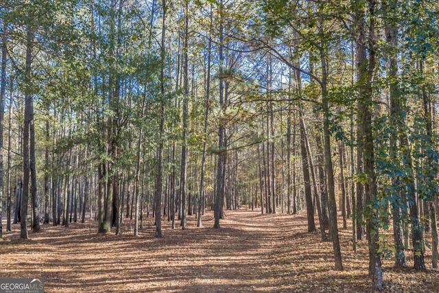 2079 Highway 85, Senoia, GA 30276