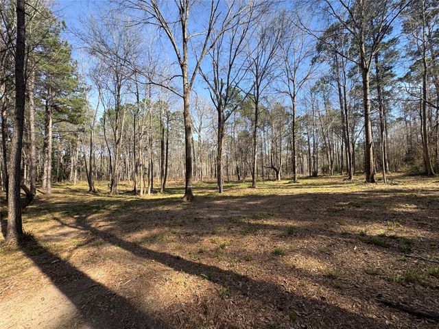 67-21-13 Bighorn Road, New Waverly, TX 77358