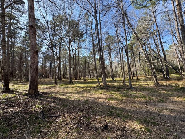 67-21-13 Bighorn Road, New Waverly, TX 77358