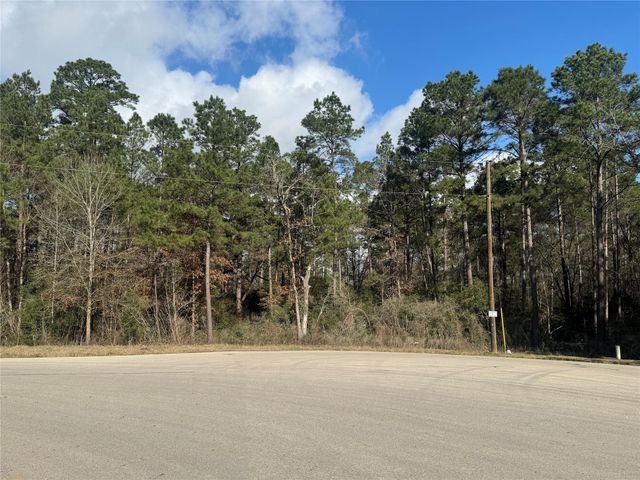 67-21-13 Bighorn Road, New Waverly, TX 77358