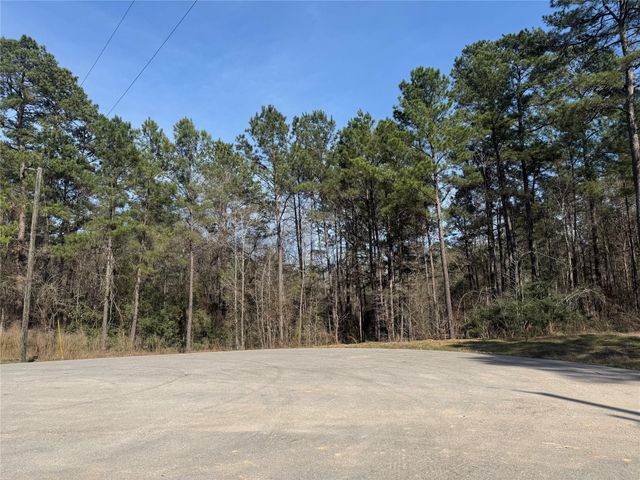 67-21-13 Bighorn Road, New Waverly, TX 77358