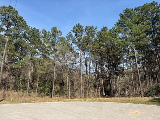 67-21-13 Bighorn Road, New Waverly, TX 77358