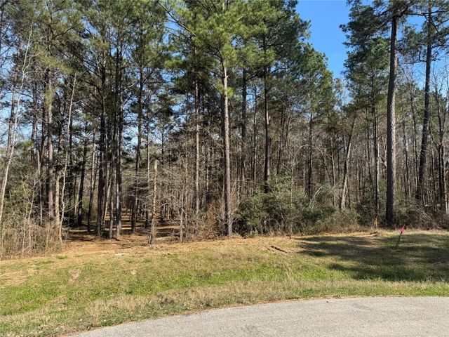 67-21-13 Bighorn Road, New Waverly, TX 77358