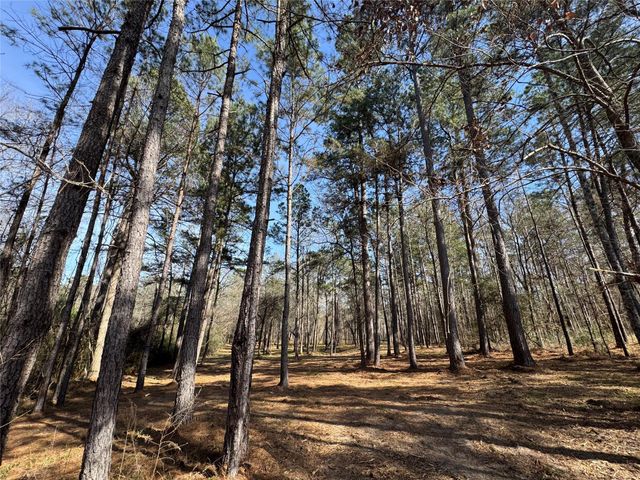 67-21-13 Bighorn Road, New Waverly, TX 77358