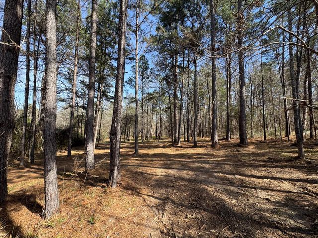 67-21-13 Bighorn Road, New Waverly, TX 77358