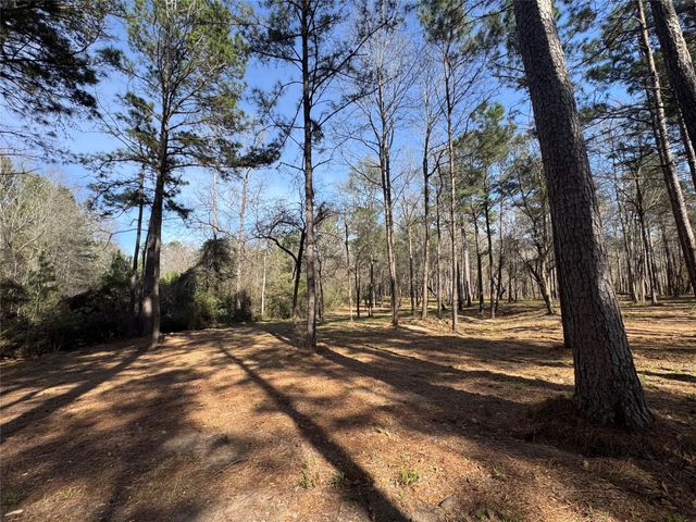 67-21-13 Bighorn Road, New Waverly, TX 77358