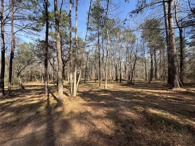 67-21-13 Bighorn Road, New Waverly, TX 77358