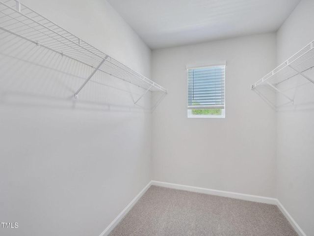 729 Chandler Stone Drive, Zebulon, NC 27597