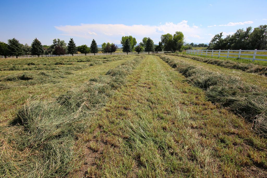 TBD Big Horn Avenue, Sheridan, WY 82801 photo 11