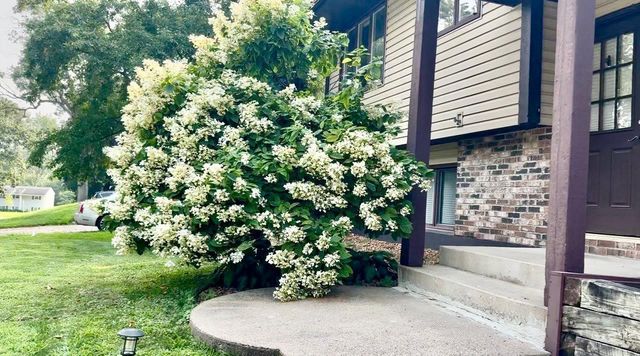 303 Heather Lane, Long Lake, MN 55356