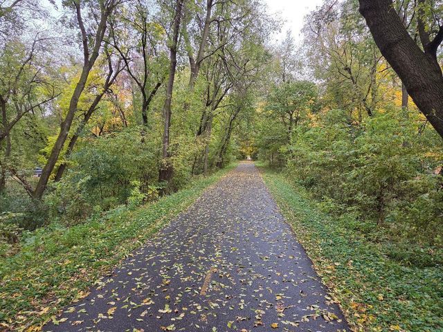 303 Heather Lane, Long Lake, MN 55356