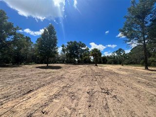 7731 NE 97TH COURT, Bronson, FL 32621