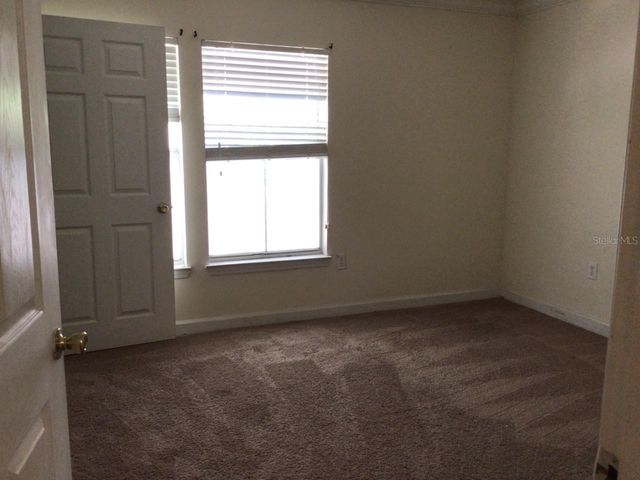 18139 BACK STRETCH LANE 18139, Tampa, FL 33647