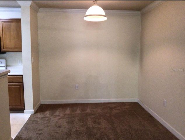 18139 BACK STRETCH LANE 18139, Tampa, FL 33647
