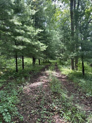 14765 Millard Road, Three Rivers, MI 49093