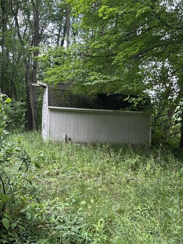 14765 Millard Road, Three Rivers, MI 49093