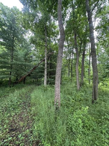 14765 Millard Road, Three Rivers, MI 49093