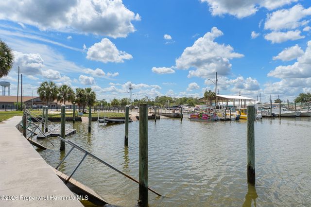 4178 Pine Dale Court, Hernando Beach, FL 34607