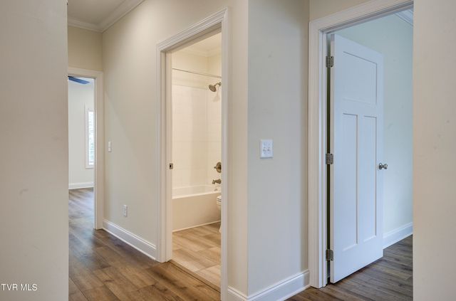 205 Mayflower Road, Johnson City, TN 37601