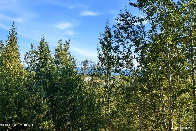 3350 E Palmdale Drive, Wasilla, AK 99654