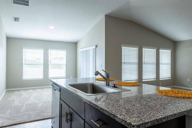 12951 TWIN BRIDGES DRIVE, Riverview, FL 33579