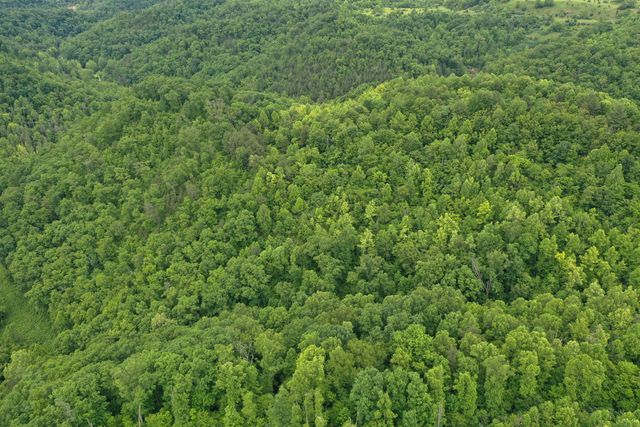 0 Lost Creek Road, Hazard, KY 41701