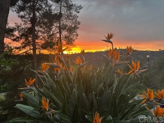 29036 Miller Road, Valley Center, CA 92082