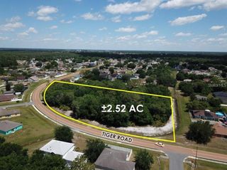 TIGER ROAD, Kissimmee, FL 34759